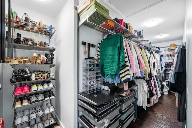 walk in closet featuring dark wood-style flooring