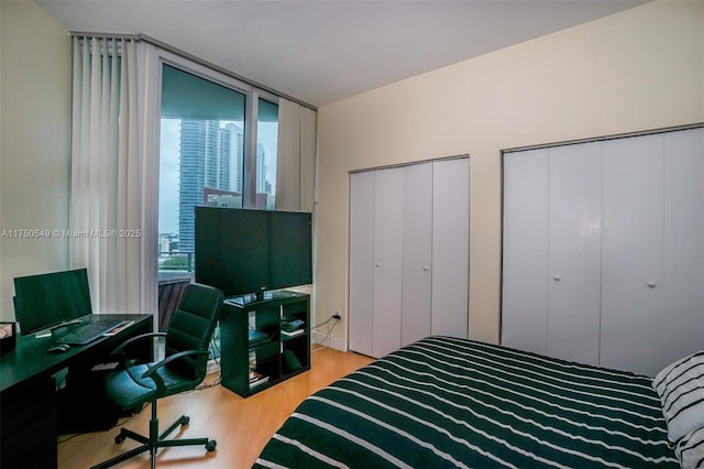 bedroom with light wood finished floors, a wall of windows, and multiple closets