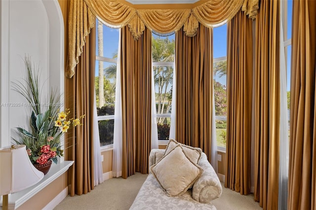 interior space with light carpet and a water view