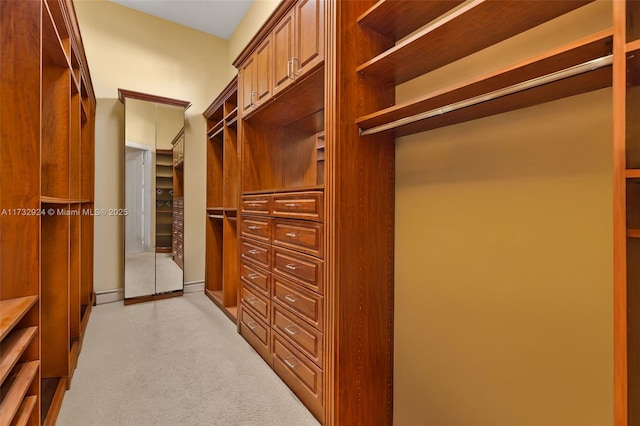 walk in closet with light carpet