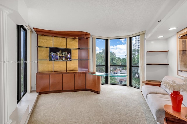 office space featuring expansive windows, light carpet, and a textured ceiling