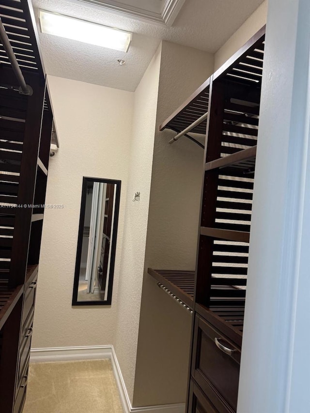 walk in closet featuring light colored carpet