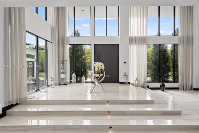 entrance foyer with a towering ceiling