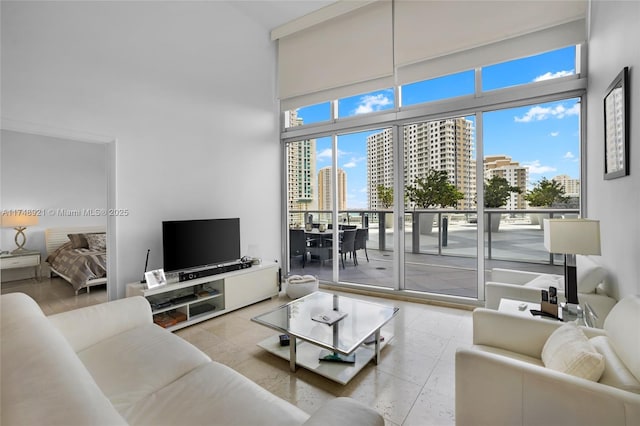 living area with a wealth of natural light and a towering ceiling