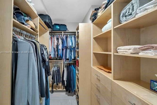 view of walk in closet