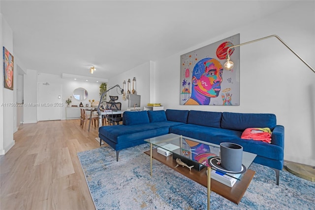 living room featuring wood finished floors