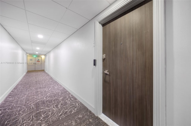 hall with carpet floors, a drop ceiling, and baseboards