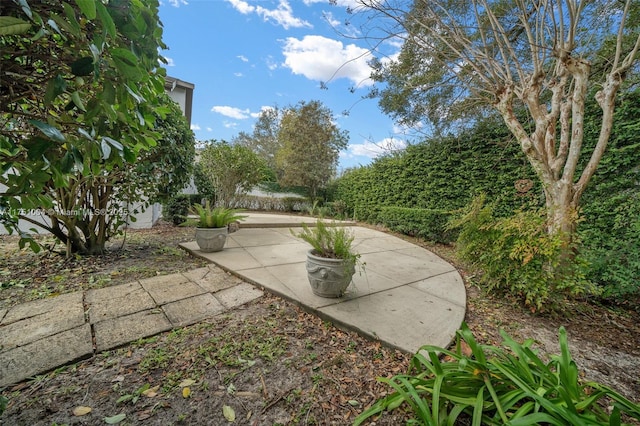 view of yard featuring a patio area