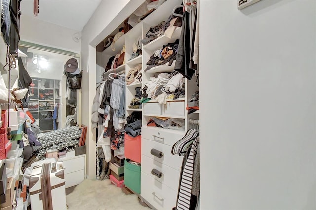 view of walk in closet