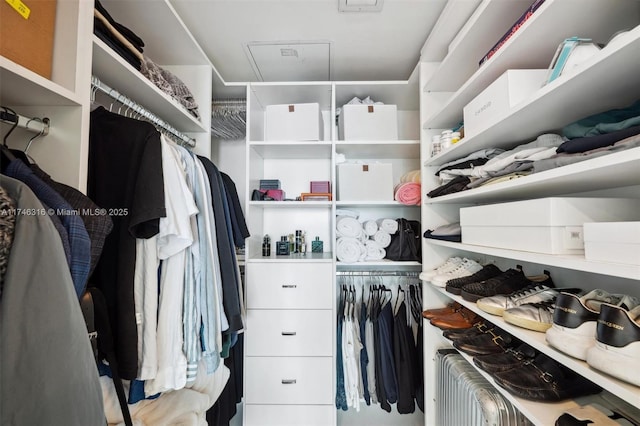 spacious closet featuring attic access