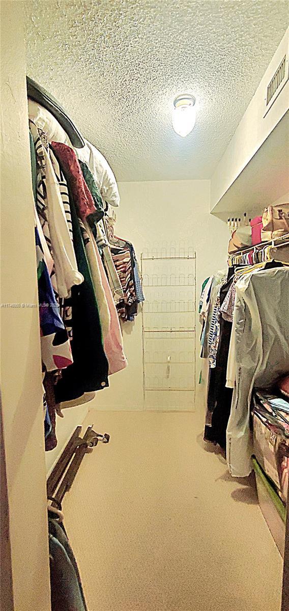 spacious closet with carpet and visible vents