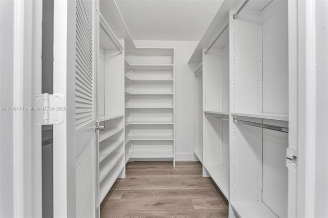 walk in closet featuring light wood-style flooring