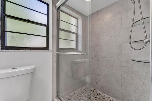 bathroom with toilet and a shower stall