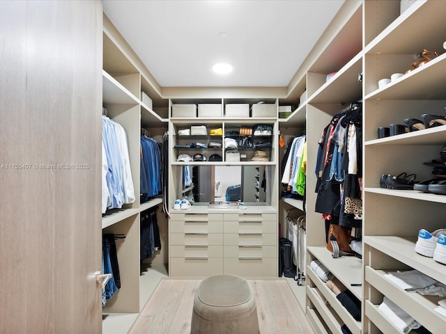 view of walk in closet