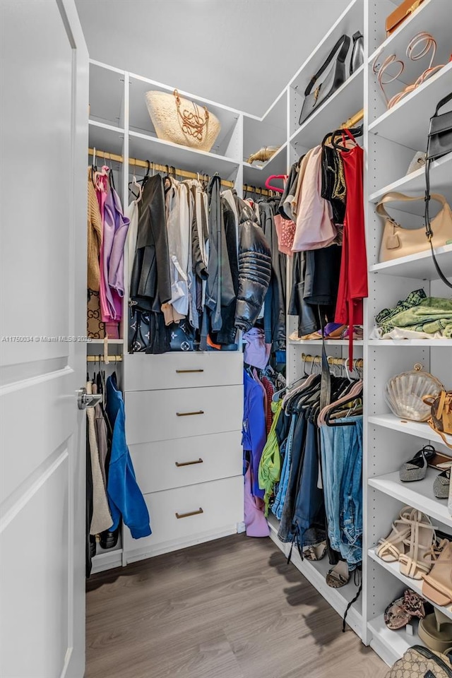 walk in closet featuring wood finished floors