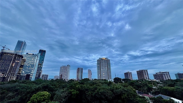 1600 SW 1st Ave Unit 703, Miami, FL 33129 - skyline view