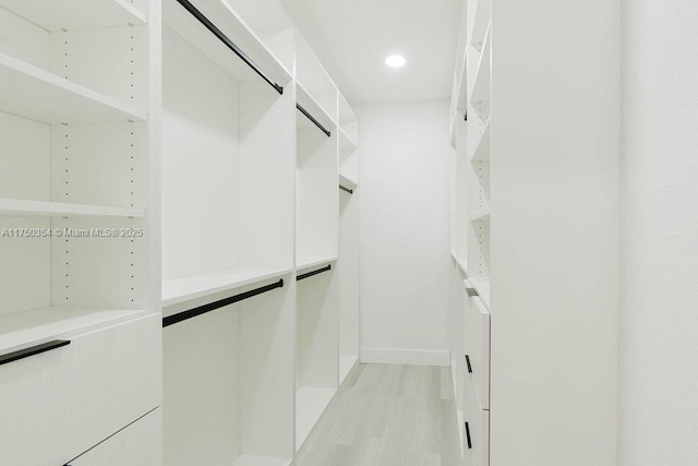 view of spacious closet