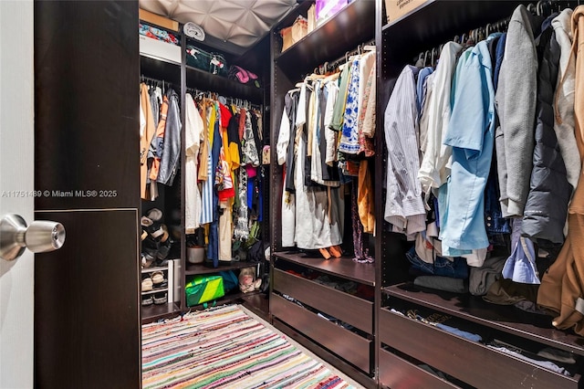 view of spacious closet