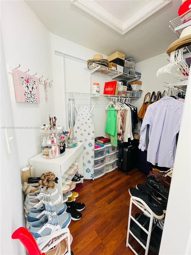 walk in closet featuring a raised ceiling and wood finished floors