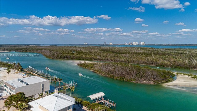 25840 Hickory Blvd, Bonita Springs, FL 34134 - photo 39