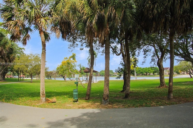 view of community featuring a yard and a water view