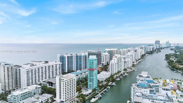 aerial view with a water view and a city view