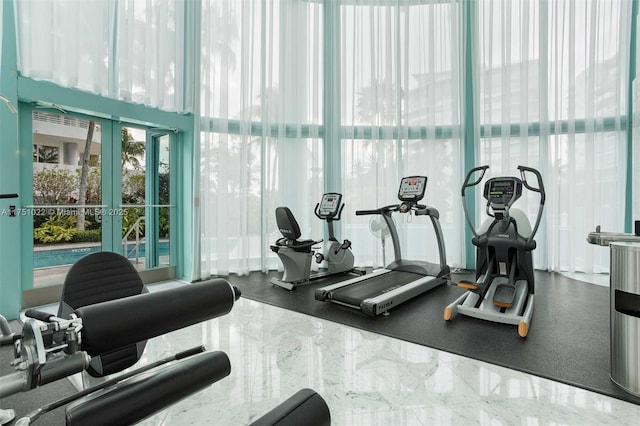 exercise room featuring expansive windows and french doors