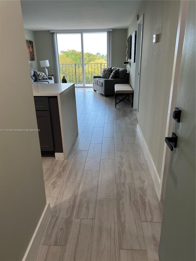 hallway with floor to ceiling windows, light wood-style flooring, and baseboards