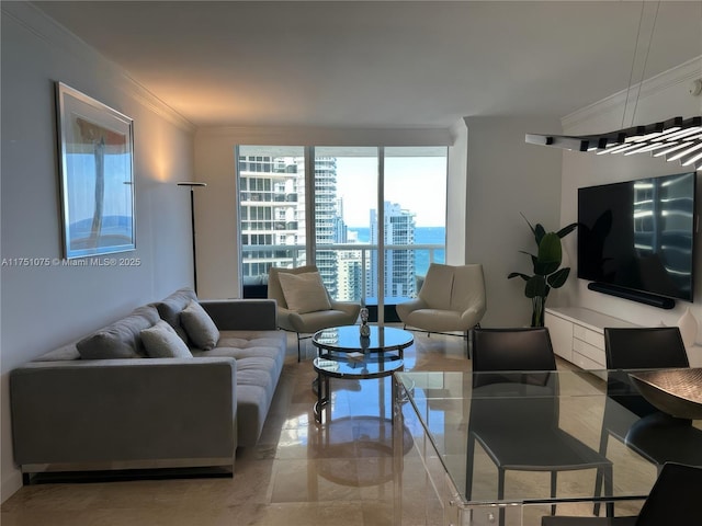 living area with expansive windows and ornamental molding