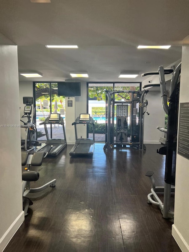 gym featuring a wealth of natural light, floor to ceiling windows, and wood finished floors