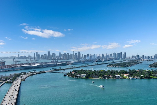 aerial view featuring a water view and a city view