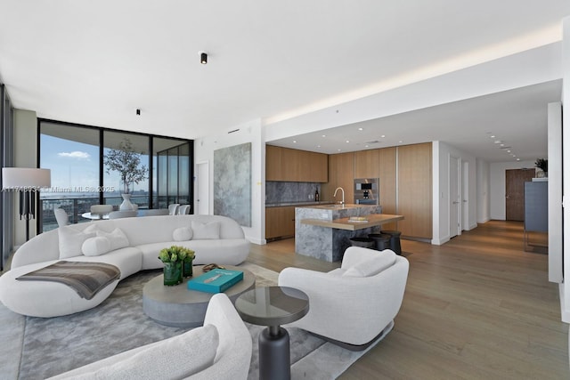 living room featuring a wall of windows, light wood-type flooring, and recessed lighting