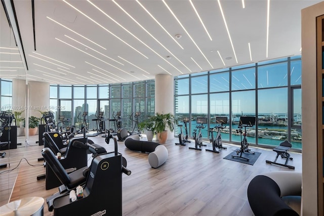 gym featuring a wall of windows, a city view, and wood finished floors