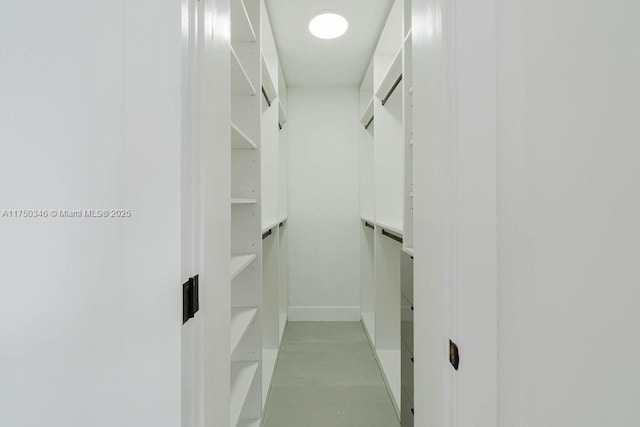 view of walk in closet