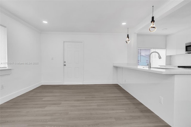 interior space with a sink, baseboards, crown molding, and wood finished floors