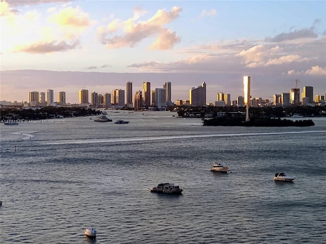 property view of water with a city view