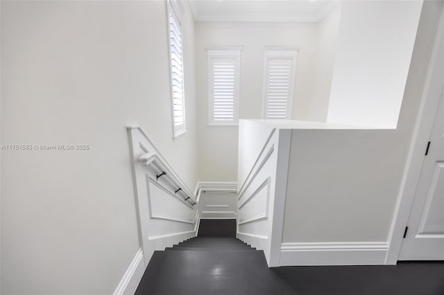 staircase with baseboards, wood finished floors, and crown molding