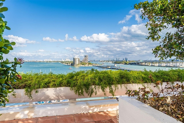 view of water feature featuring a view of city