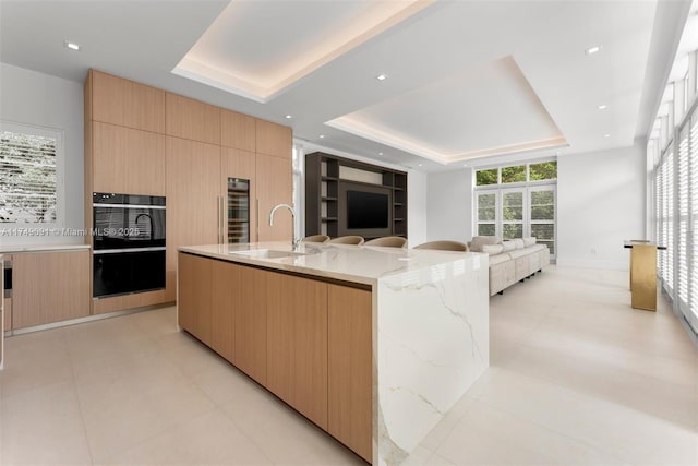 kitchen with a raised ceiling, modern cabinets, open floor plan, light stone countertops, and a sink