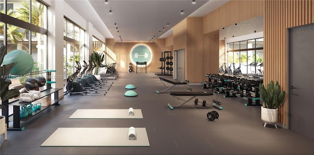 workout area with a high ceiling