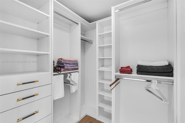 2043 SW 7th St, Miami, FL 33135 - spacious closet with wood finished floors