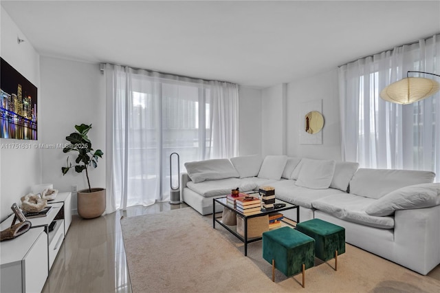 living area featuring light wood finished floors