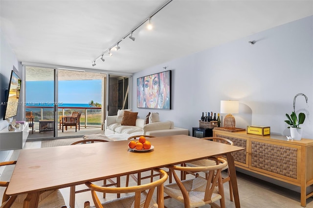 dining space with expansive windows and track lighting