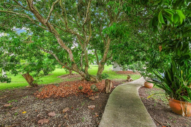 view of property's community with a lawn