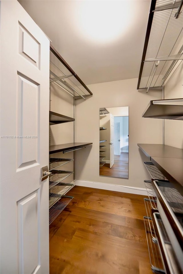 spacious closet featuring wood finished floors