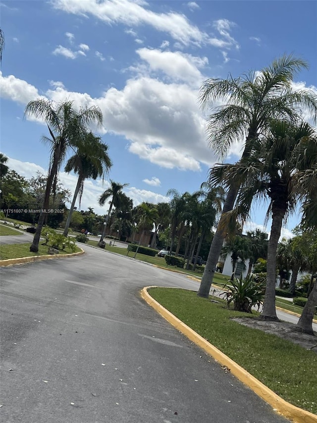 view of street featuring curbs