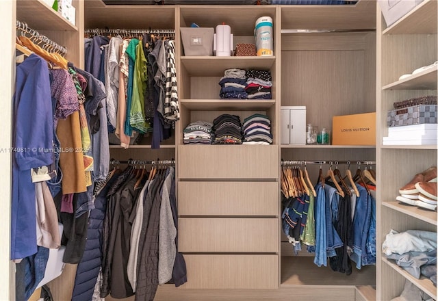 view of spacious closet