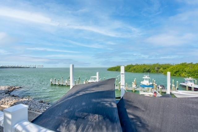 water view featuring a boat dock