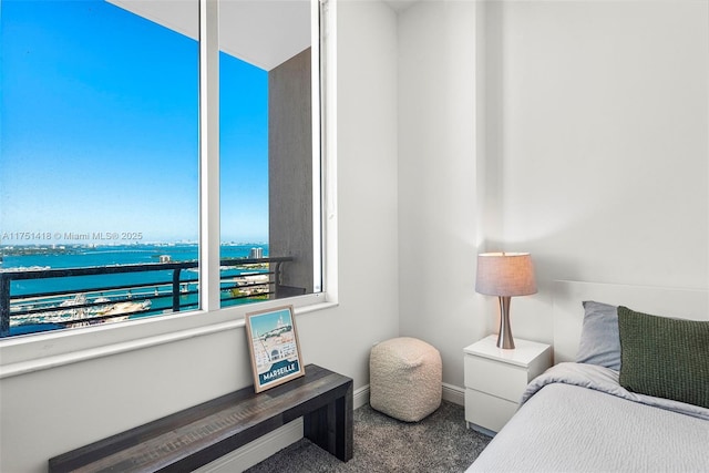 bedroom featuring baseboards, a water view, and carpet floors