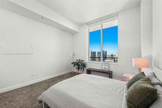 bedroom featuring baseboards, carpet, a city view, and access to exterior